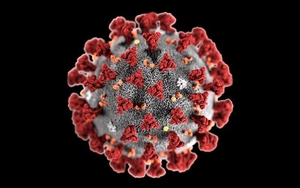 2020 09 18 Covid 19 Article