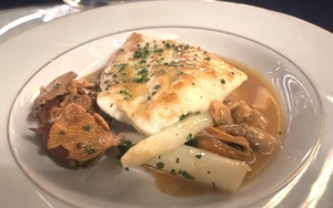 2024 04 15 Maya Review Thumbnail