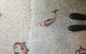 2019 10 22 Tiles Victoria Baths Entrance Hall Floor