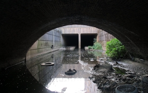 2024 River Medlock Central Manchester