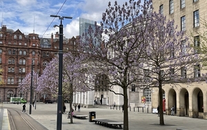 30 April And The Tormentosas In St Peters Square Manchester