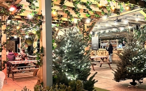 Pins Social Club Duke Street Liverpool Alpine Village 3