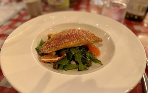 2024 12 17 Doty 2024 Thumbnail