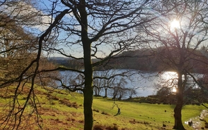 The Sun Shining Through The Trees At Loughrigg Tarn