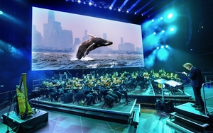 2026 10 29 Whale Image Bbc Studios 1