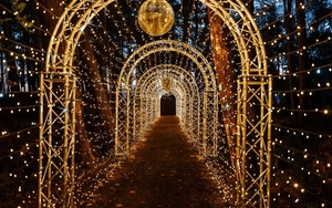 2026 09 23 Santas Secret Forest