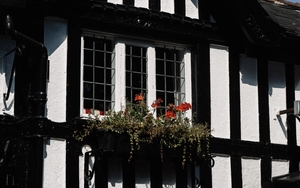 12 08 25 Horse Jockey 44 1