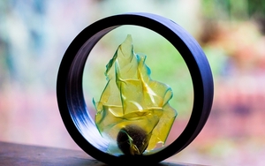 Chocolate Passionfruit Scotch Bonnet At The Walled Garden In Whalley Range Manchester Header