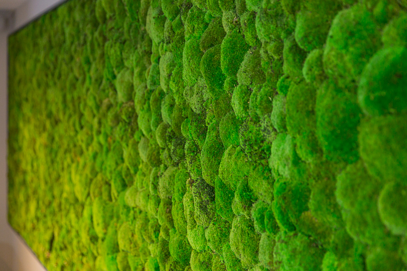 170411 Norse Moss Wall Andrew Benge