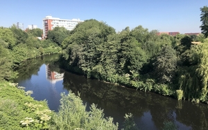 180704 Peel Park Img 2392