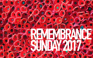 Poppy From Pixabay Web Copy