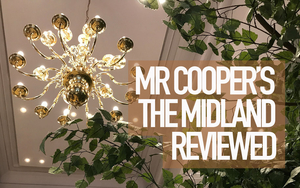 180125 Mr Coopers Review Copy