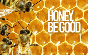 Bee Honey Header