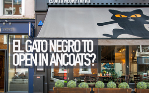 El Gato Negro Stock Copy