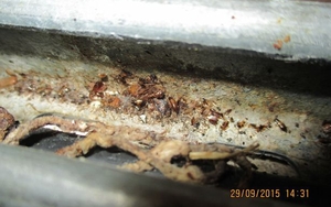 Aw Lec 220617 Adelphi 05 Jpg