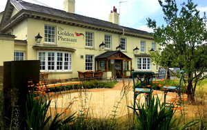 20220704 Golden Pheasant External Edit