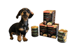 20190111 Derek Photo1 Transp 800X533