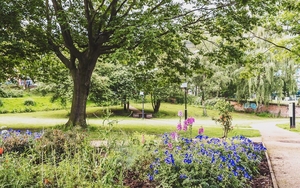 Angel Meadows Park 2019