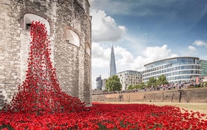 Tower of London poppies come to Liverpool