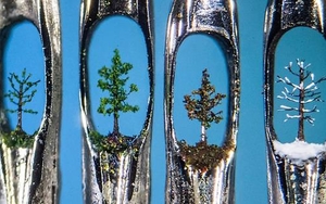 TOP 10 | Exhibitions in May & June