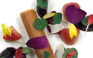 REVIEW: The White Swan, Fence