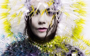 MIF 15 REVIEWED | Björk