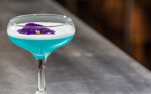 WIN A Cocktail Frenzy For 6 At The Pen And Pencil