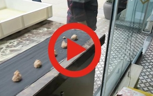 EAT IT | Don Giovanni Ravioli