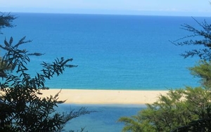 Walks, wines and whales in in New Zealand’s Beautiful South