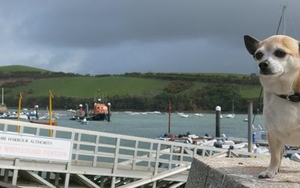 Woof seas on the wild Devon coast!