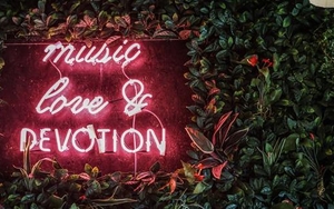 SLEUTH | Insect Restaurant, Bus Dog, Arrogant Developers