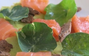 Northern Monk Ups Its Food Game