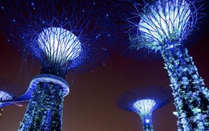 12 Manchester Festivals You Probably Didn’t Know About