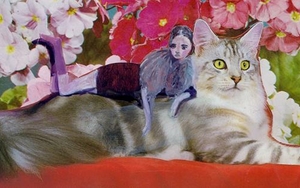 PAPER Gallery Presents...The Cat Show