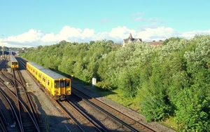 REVEALED: The amazing secret garden that's Liverpool's newest park