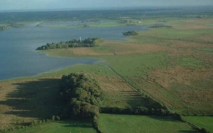 Digging for poetic gold in Seamus Heaney Country