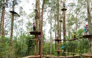 Tree Top Adventure Planned For Heaton Park
