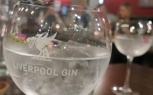 Gin Tasting At Lunya