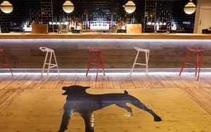 Botanical Film Club Presents...Bowie