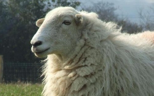 Star grazing: 13 Michelin restaurants a hop from Liverpool