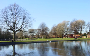 Everton FC  reveals new Goodison on Walton Hall Park