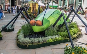 Dig The City 2015 | The Winners