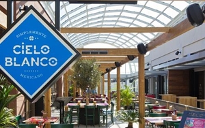 SLEUTH | Cielo Blanco (Again) | NQ Butcher | NRB Wisdom