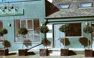 SLEUTH | Food Festival, Hispi, Damien Hirst, Magnificent Erection