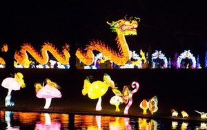 40,000 Lights and 100ft Dragons to Illuminate Roundhay Park