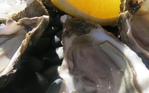 France’s Atlantic coast – the world is your oyster