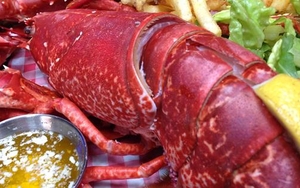 REVIEW | Stockyard | Hale