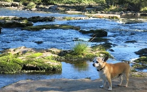 Chilling out in a boutique bolthole and a Quaker retreat