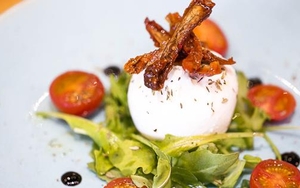 Salvi's Launch Online Shop