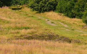 Surprising City: Kersal Moor